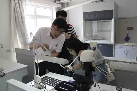 地质大学（北京）招生负责人张凤琴：只看分数线有风险，参考排名是关键！