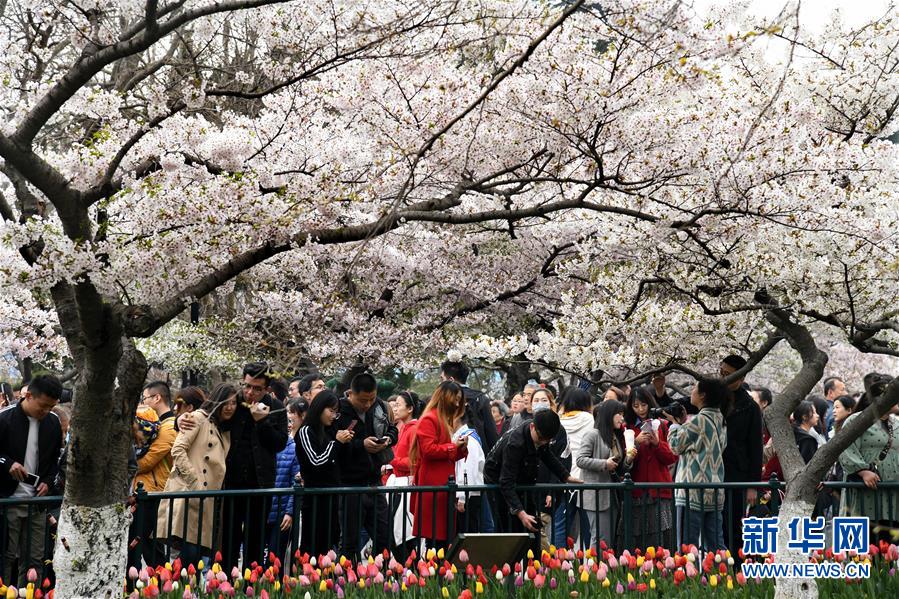 河南7000余校外培训机构登上“黑名单”
