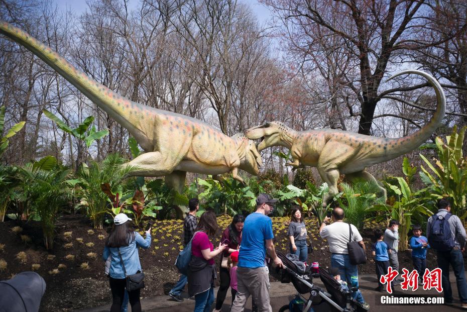 河南7000余校外培训机构登上“黑名单”