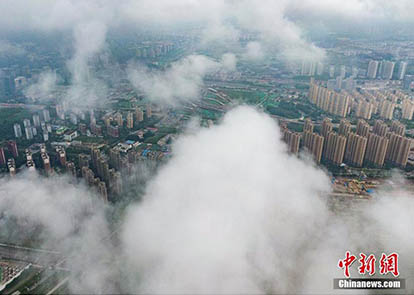 暑假前的安全课