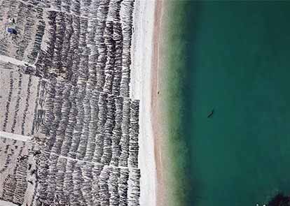 暑假前的安全课