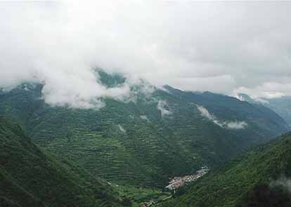 暑假前的安全课