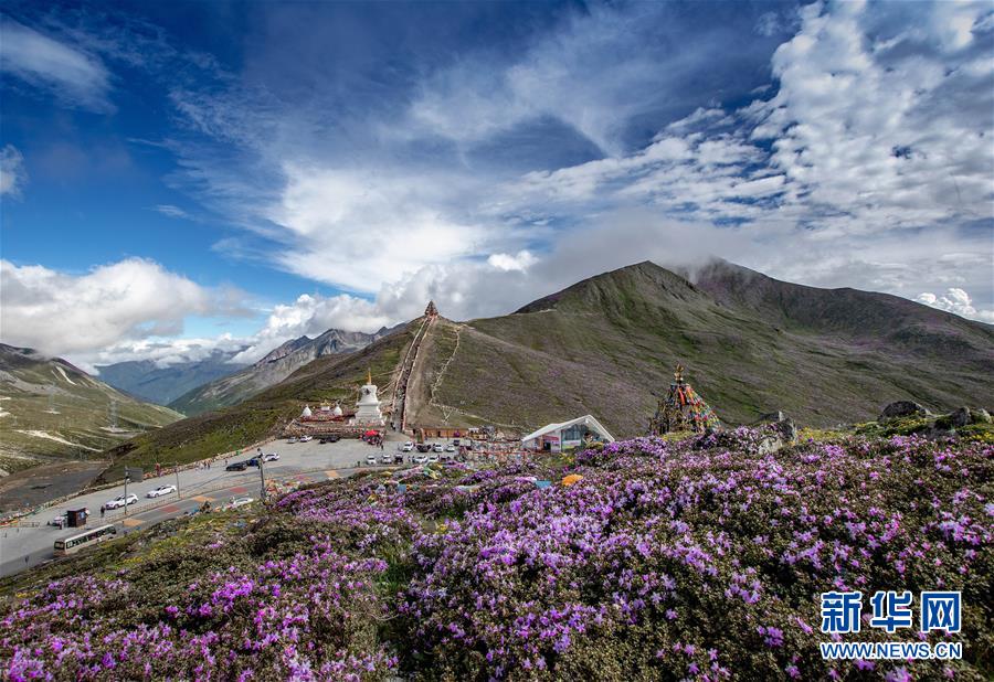 不要轻信“包投档”“包录取”等欺诈性宣传