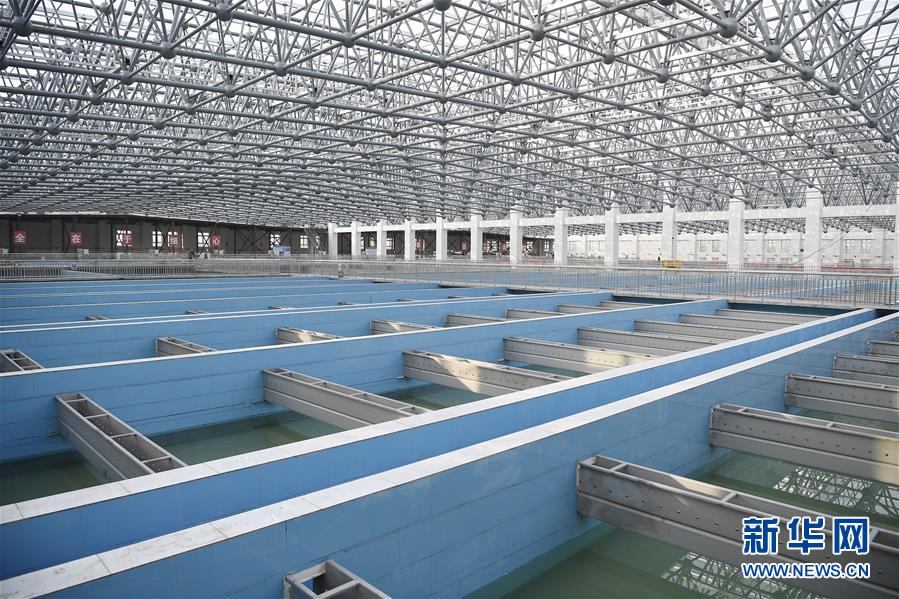 77.96万人 广东省高考报名人数再创新高(最新发布)