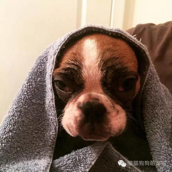 强迫我洗澡!还要拍下我的出浴照! _教育即时滚