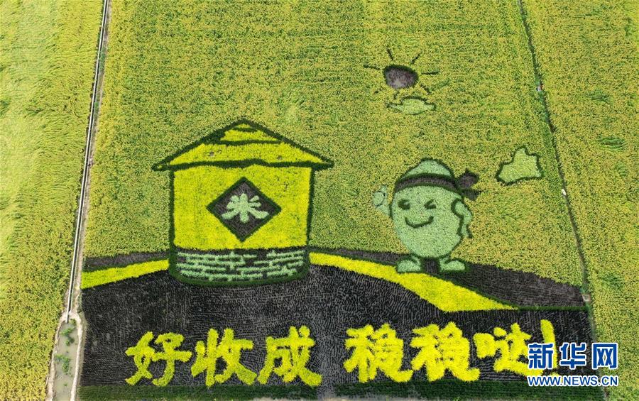 高中国际项目发展状况报告发布