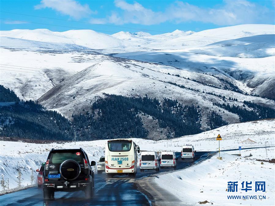 第五届“中国教育创新成果公益博览会”将在珠海举行