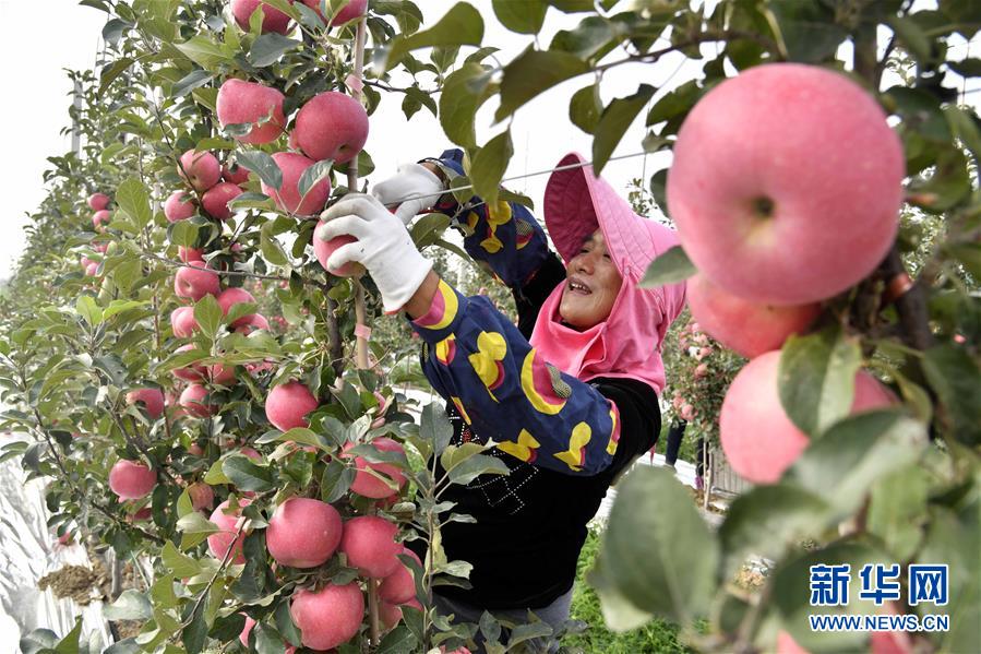教育部：中国92.7%的县（市、区）实现义务教育基本均衡发展