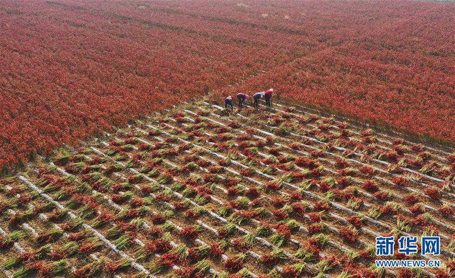 教育部：中国92.7%的县（市、区）实现义务教育基本均衡发展