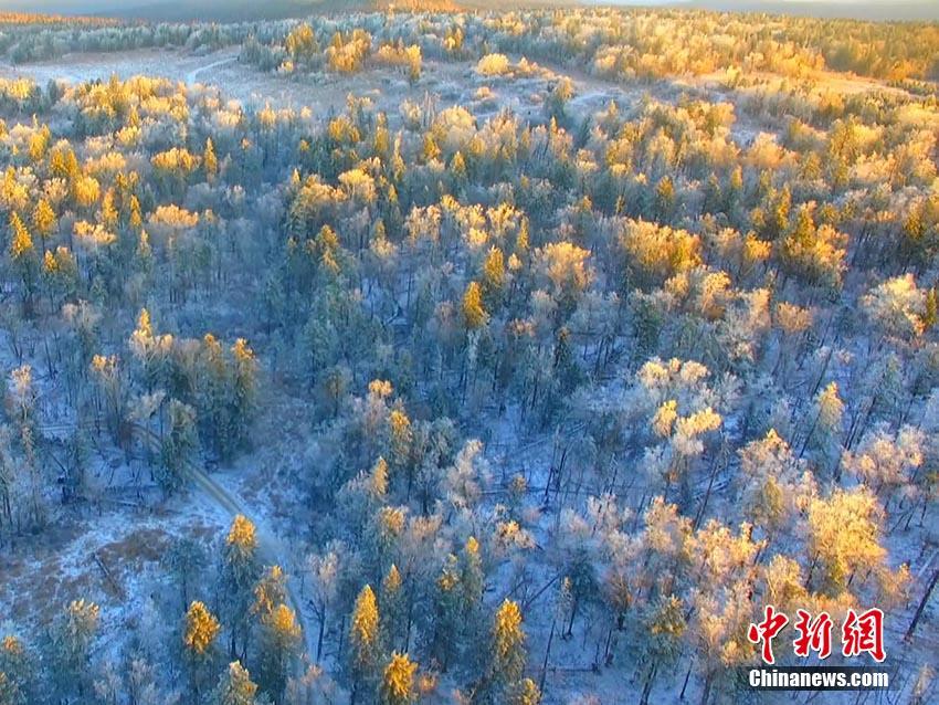中国劳动关系学院发布《新时代高校劳动教育论纲》
