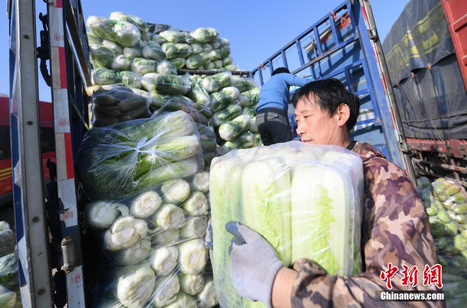 中国劳动关系学院发布《新时代高校劳动教育论纲》