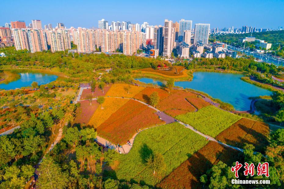 中国劳动关系学院发布《新时代高校劳动教育论纲》