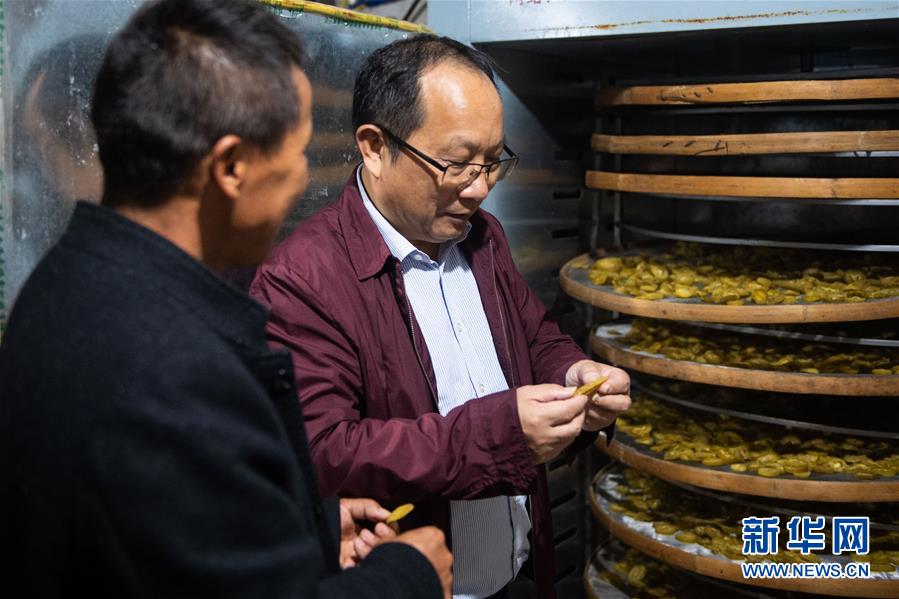 创新创业新模式 助力提升高校学术论文诚信管理服务水平