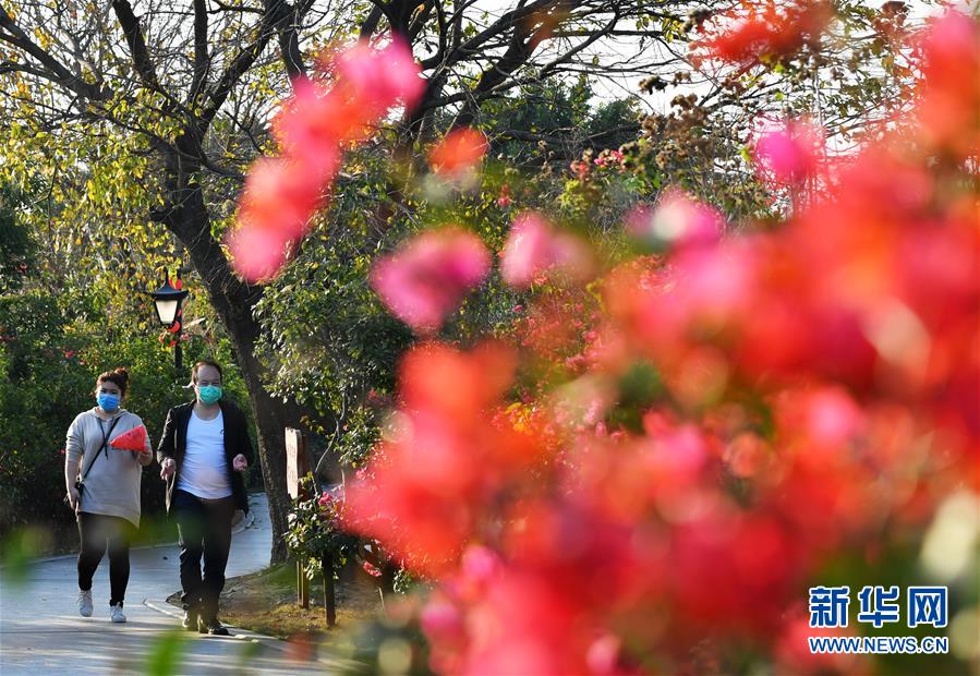 上海:大中小学3月起开展在线教育