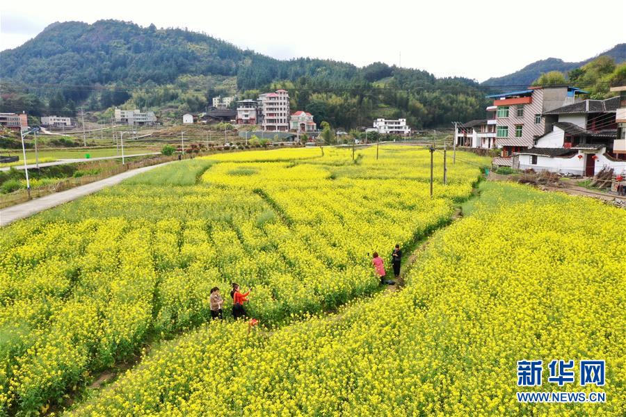 项城：停课不停学 老师做“主播”