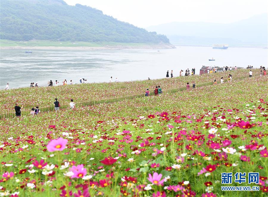 【王约翰谈留学】远离危险 留学租房多关注第三方评价