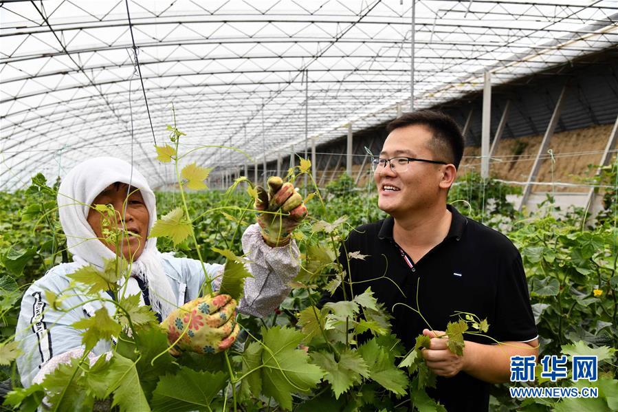 就业季业界支招：高校应强化学生通识教育