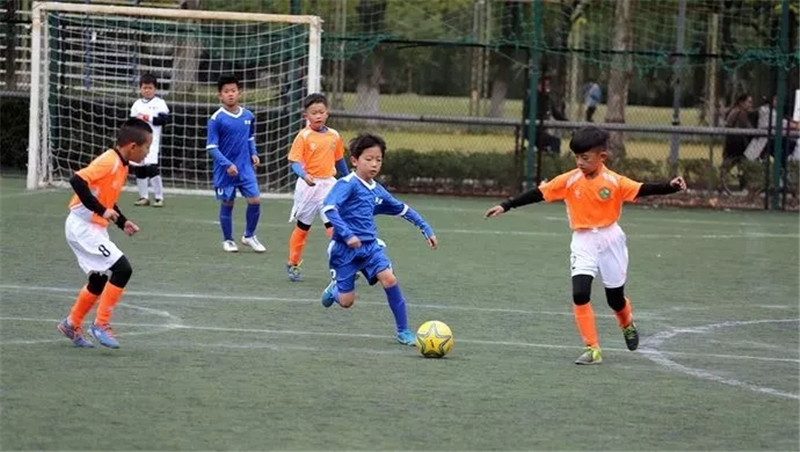上海市学生体育素养评价蓝皮书发布