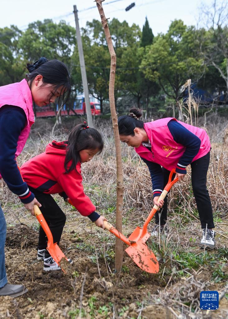 “植树护绿”开启春季校园劳动课