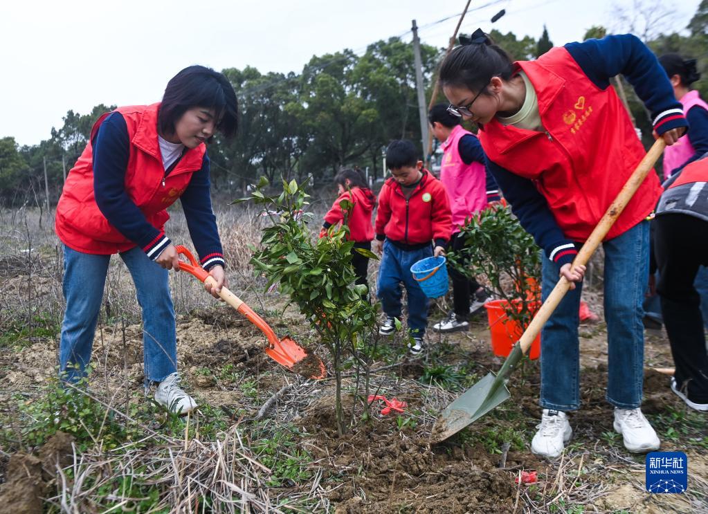 “植树护绿”开启春季校园劳动课