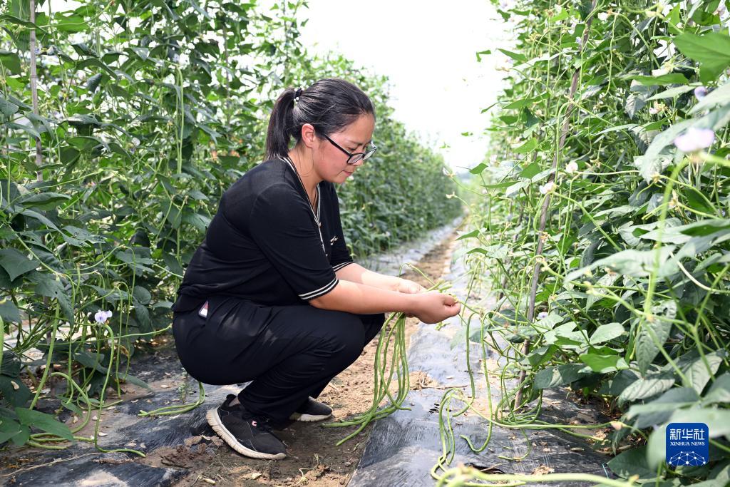 安徽枞阳：女大学生回乡创业带动村民就业增收