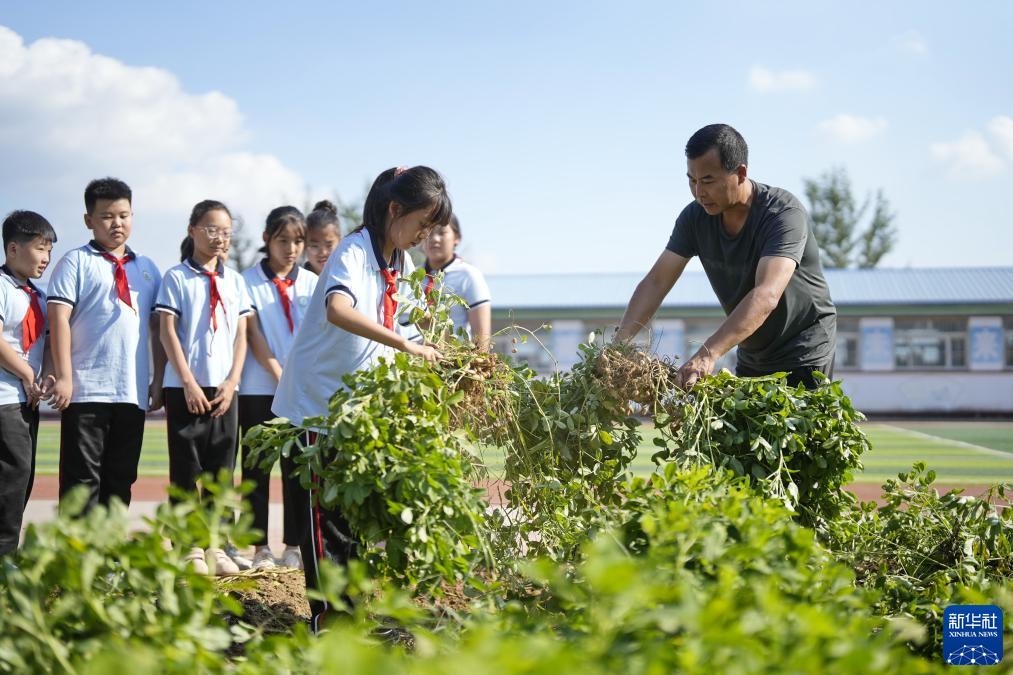 河北乐亭：“校园农场”助力劳动教育提质增效