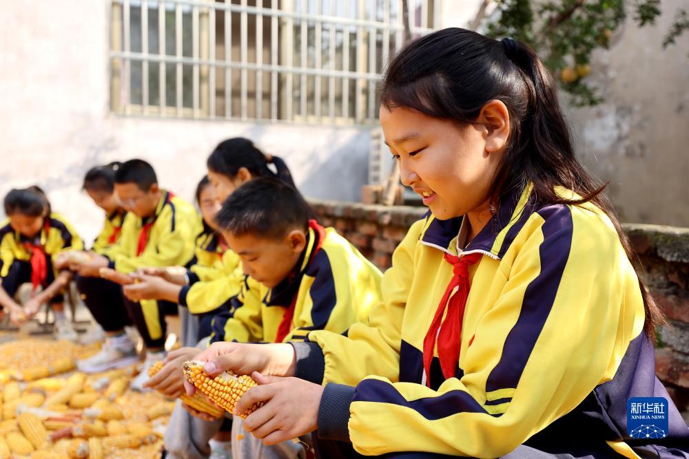 世界粮食日：爱粮节粮 从我做起