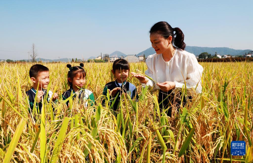 世界粮食日：爱粮节粮 从我做起