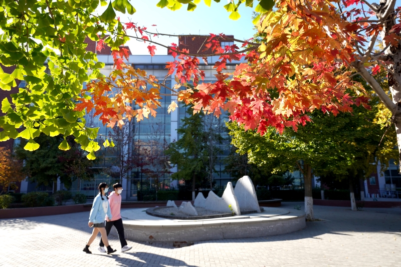 秋日限定！大学校园“氛围大片”上新……