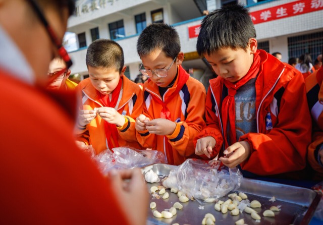 湖南通道：赛劳动技能 助学生成长