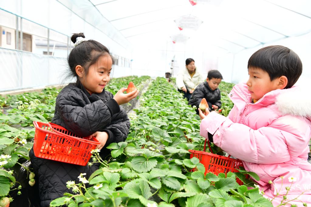 “新”意满满 多地中小学迎接新学期