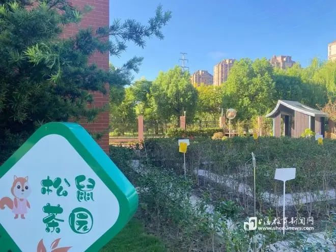 儿童友好学校 | 松江区泗泾第五小学：用“一米”与儿童相约美好