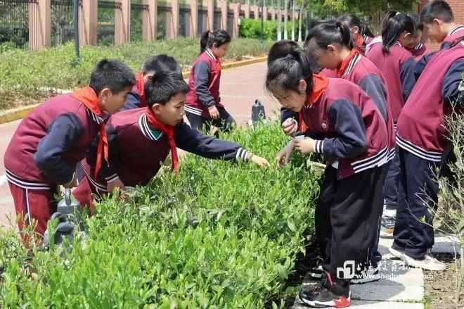 儿童友好学校 | 松江区泗泾第五小学：用“一米”与儿童相约美好
