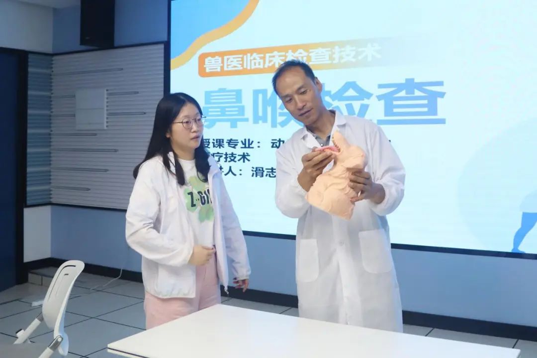 做未来工匠领路人、争当职教先锋、用心用情育英才……走近这些教师人才