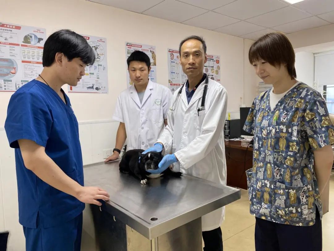 做未来工匠领路人、争当职教先锋、用心用情育英才……走近这些教师人才