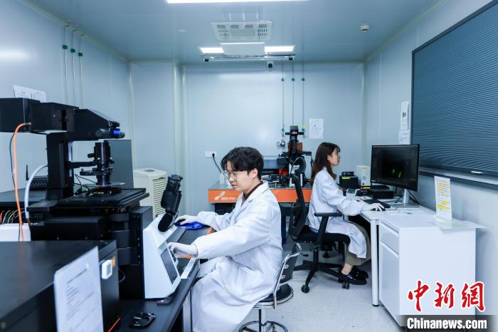青年博士的科研路：在深耕中凝练方向 在思辨中突破桎梏