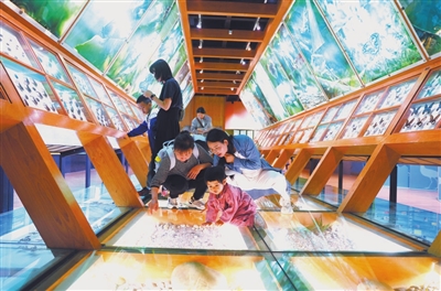 这堂课去了博物馆