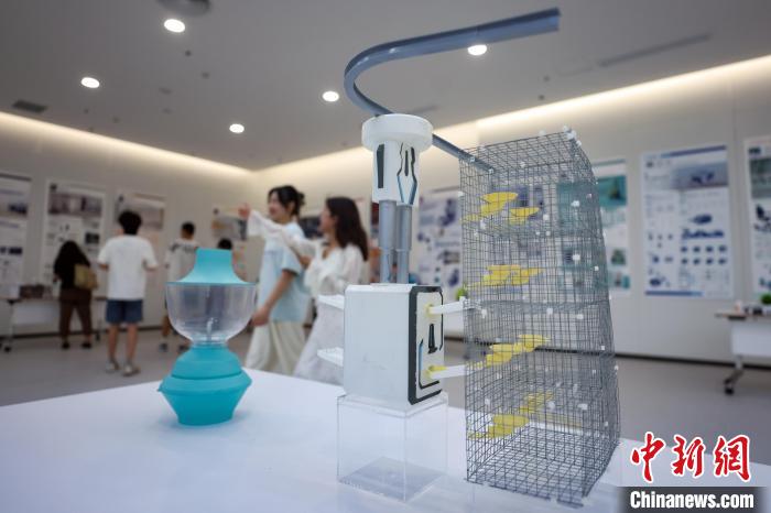 高校毕业设计展创意无限