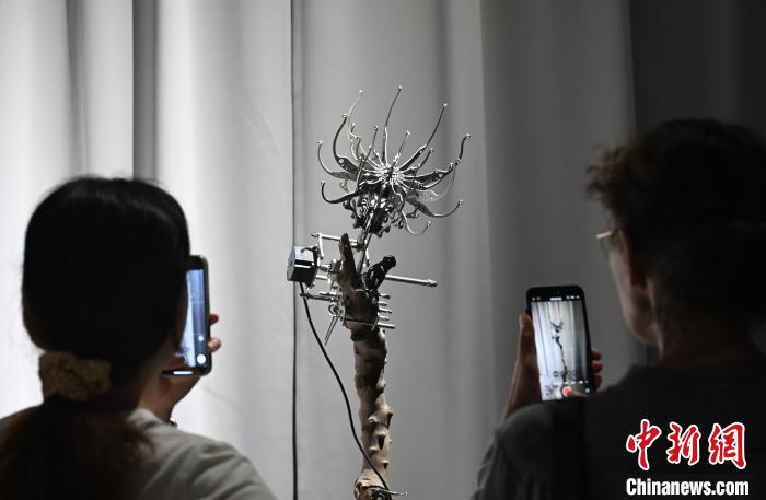 现代机械融合传统文化 中国美院多件毕业作品成“网红”