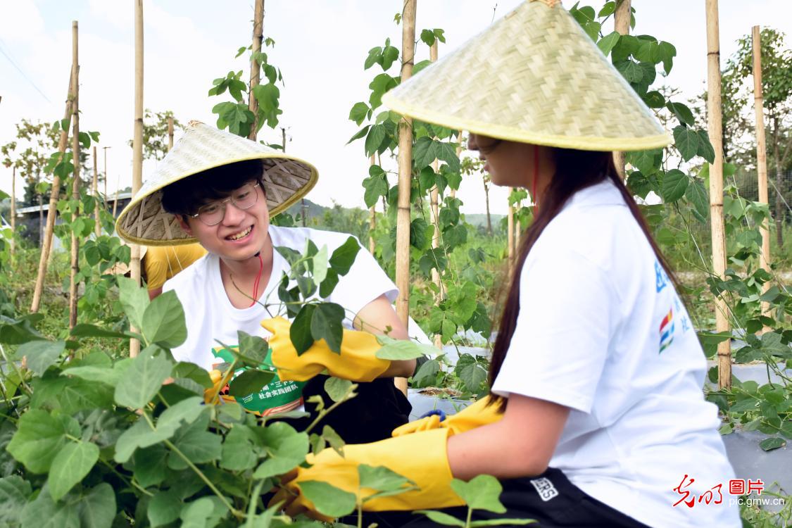 从课堂到岗位 青少年暑期职业体验感受劳动荣光