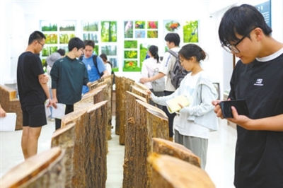 在自然中学习成长