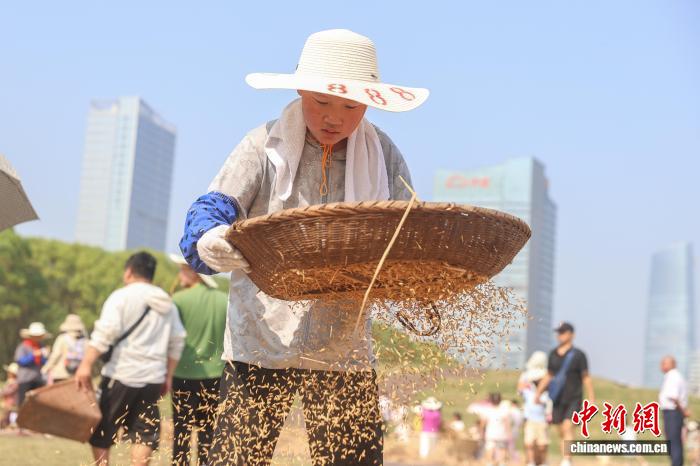 江西南昌：青少年走进农田 体验秋收乐趣