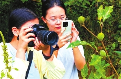 走,上山采药去! 走,上山采药去!