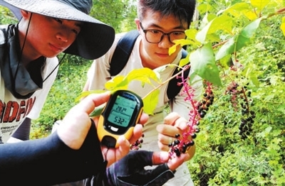 走,上山采药去! 走,上山采药去!