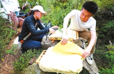 走,上山采药去! 走,上山采药去!