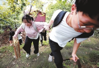 走,上山采药去! 走,上山采药去!