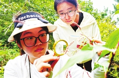 走,上山采药去! 走,上山采药去!