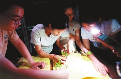 走,上山采药去! 走,上山采药去!