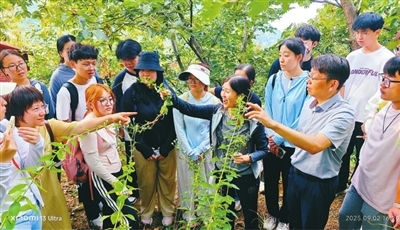 走,上山采药去! 走,上山采药去!