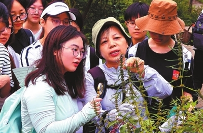 走,上山采药去! 走,上山采药去!